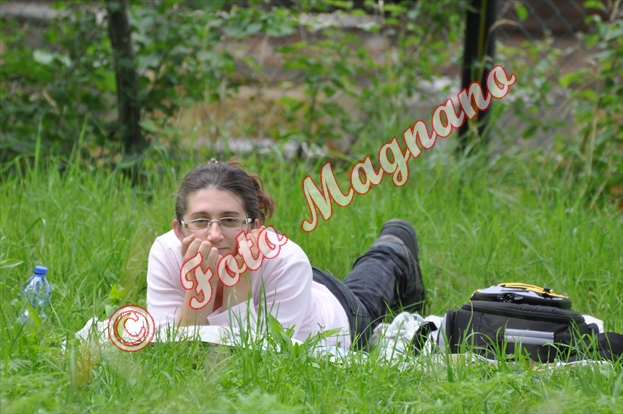 DSC_0486.jpg
